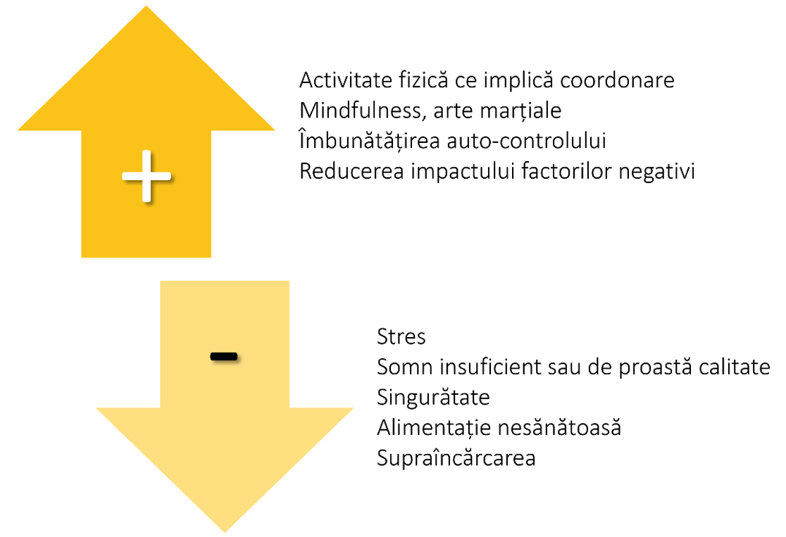 Fig. Factori ce pot modifica eficienta functiilor executive