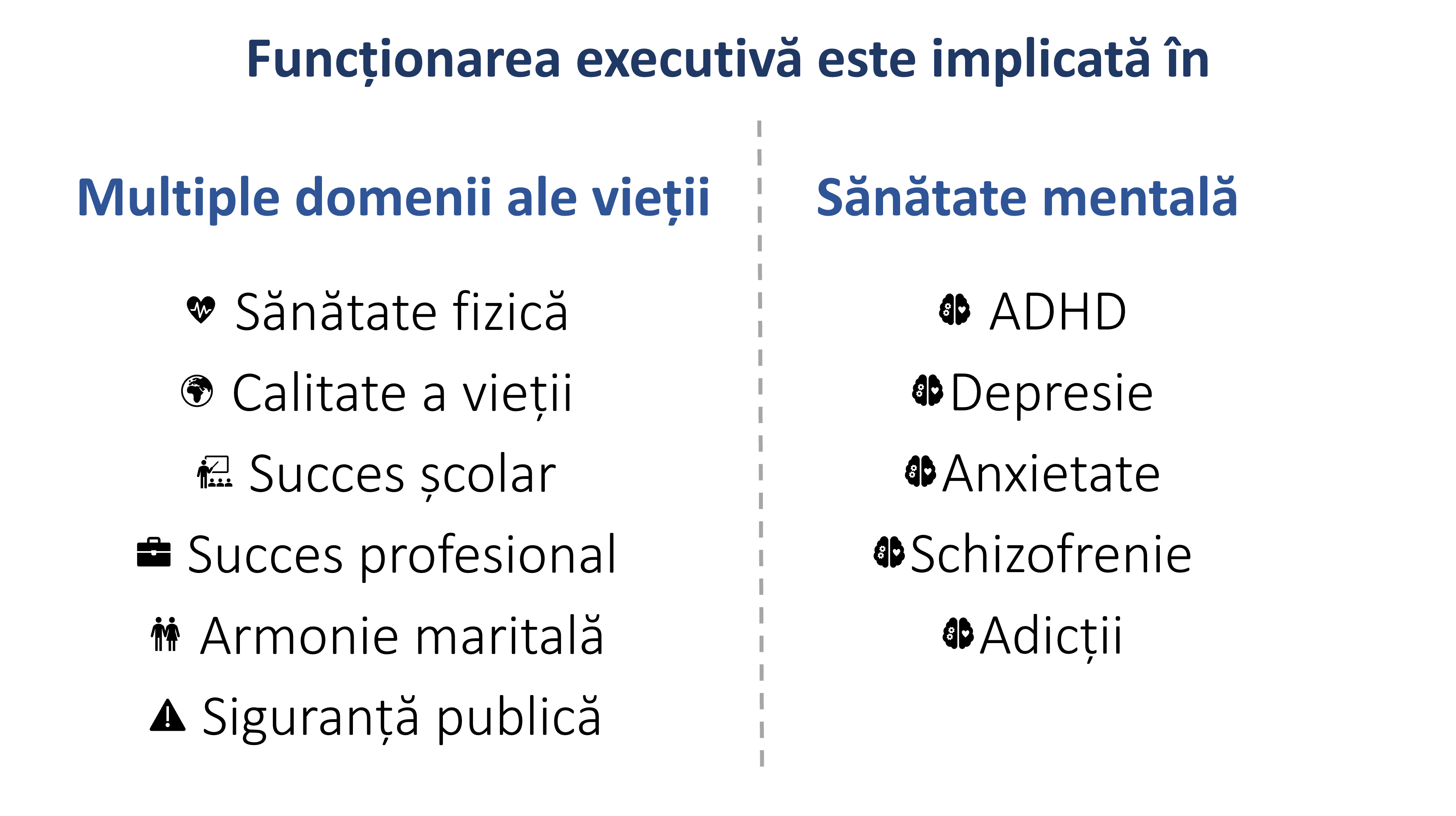 Fig. Importanta functiilor executive