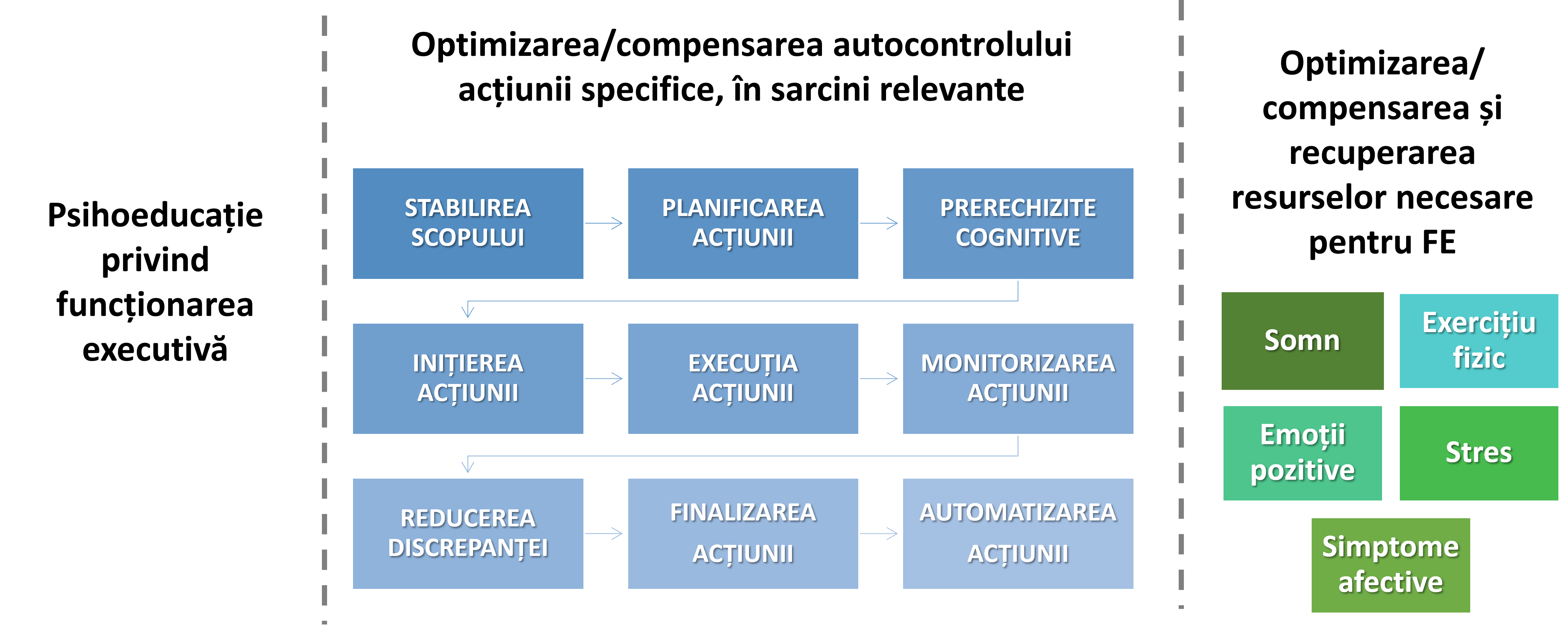 Fig. Plan de interventie pentru optimizarea functionarii executive